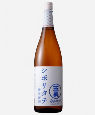 一本義 新米新酒 シボリタテ