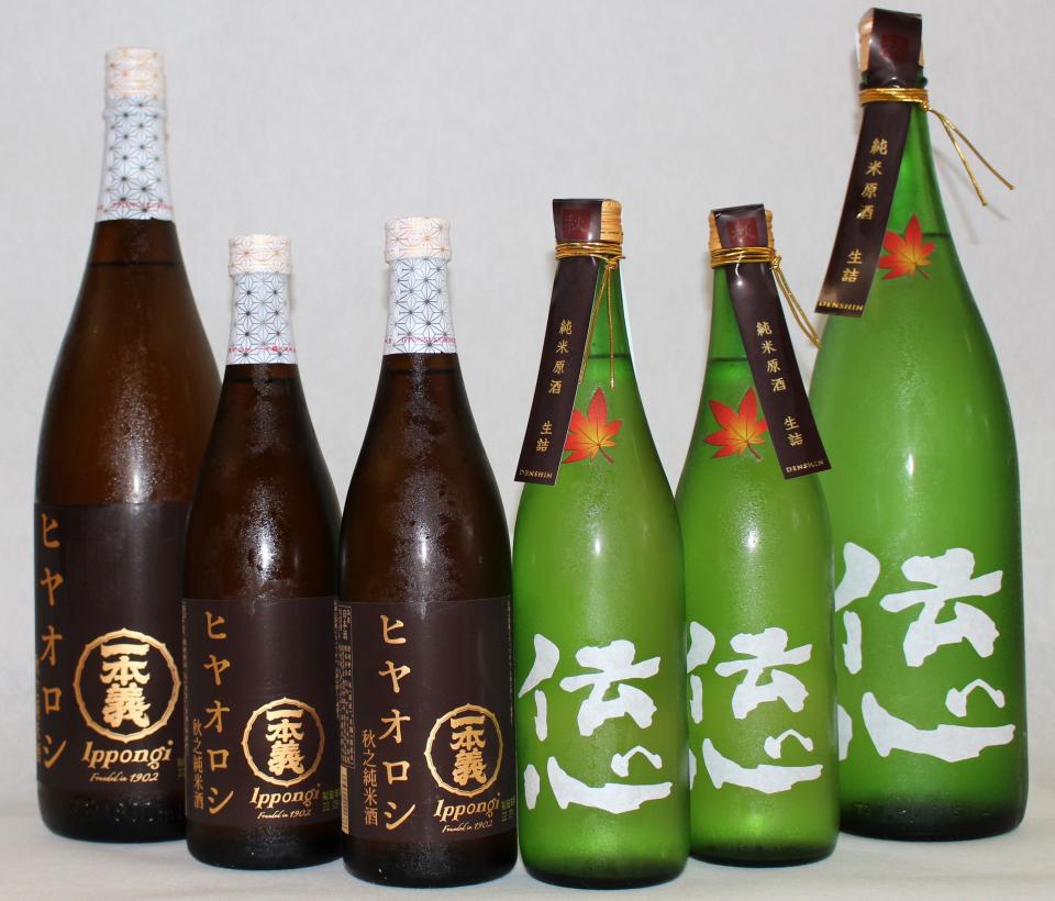 秋のお酒、一本義「ひやおろし」、伝心「秋」が入荷しました！