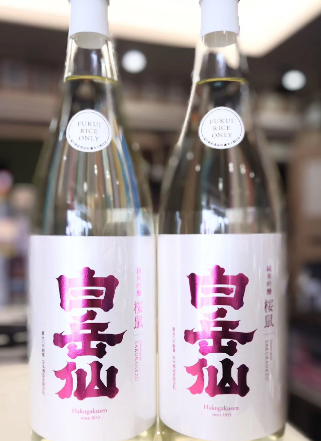 春の訪れ 白岳仙「桜鼠」入荷しました!